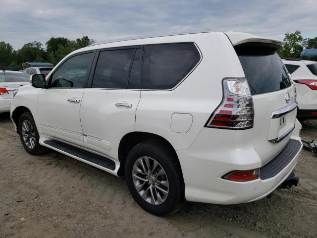 Photo 1 VIN: JTJJM7FX7H5158272 - LEXUS GX 