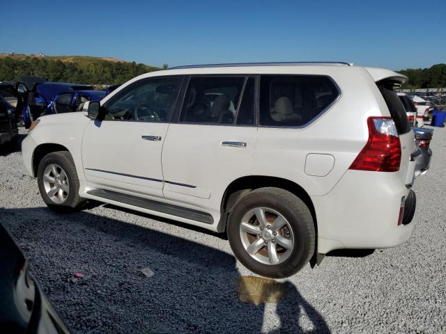 Photo 1 VIN: JTJJM7FX9B5025116 - LEXUS GX 460 PRE 