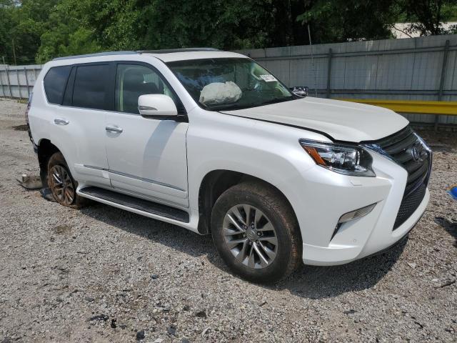 Photo 3 VIN: JTJJM7FX9G5129404 - LEXUS GX 