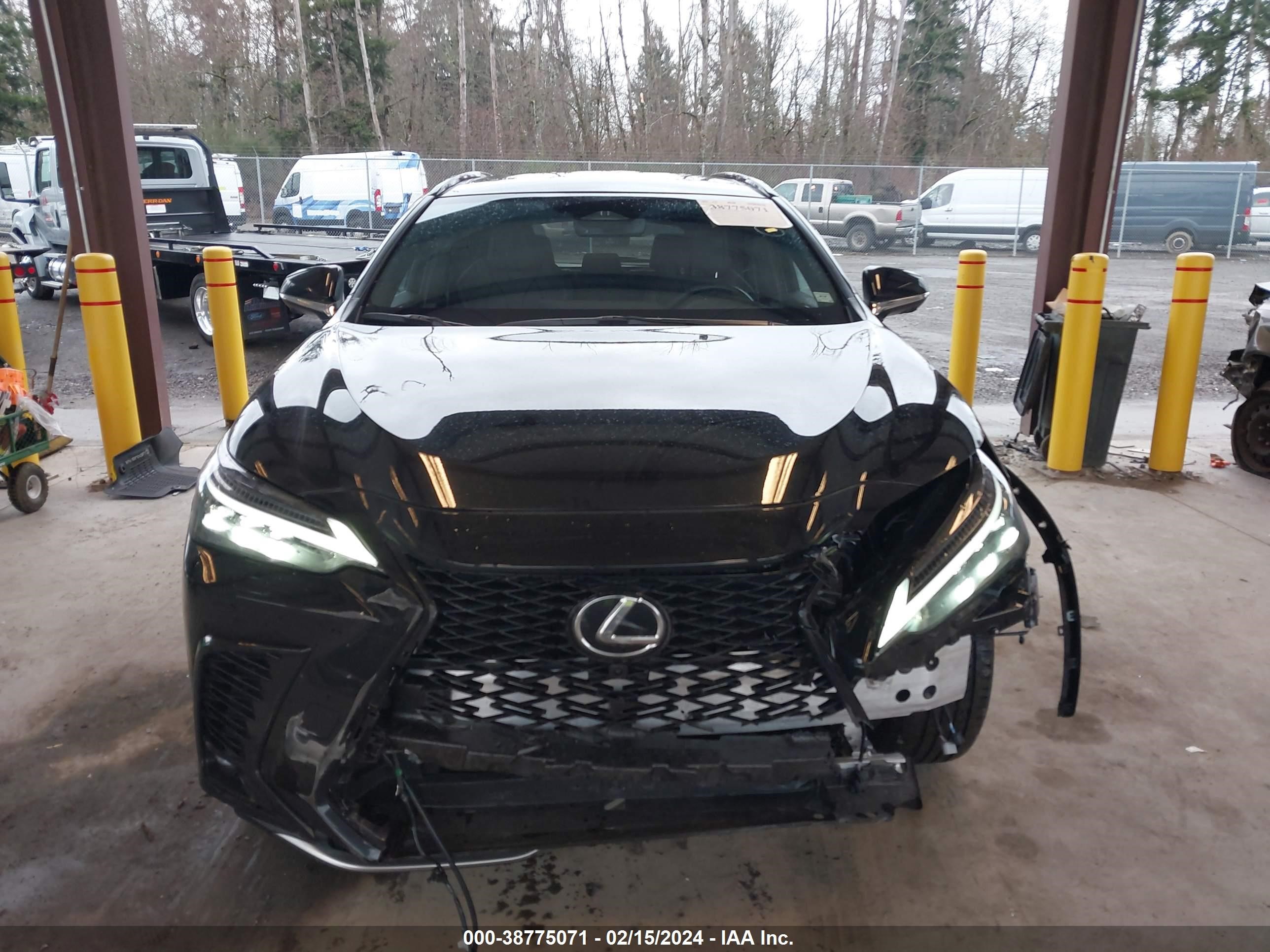 Photo 12 VIN: JTJKGCEZ1R2010550 - LEXUS NX 