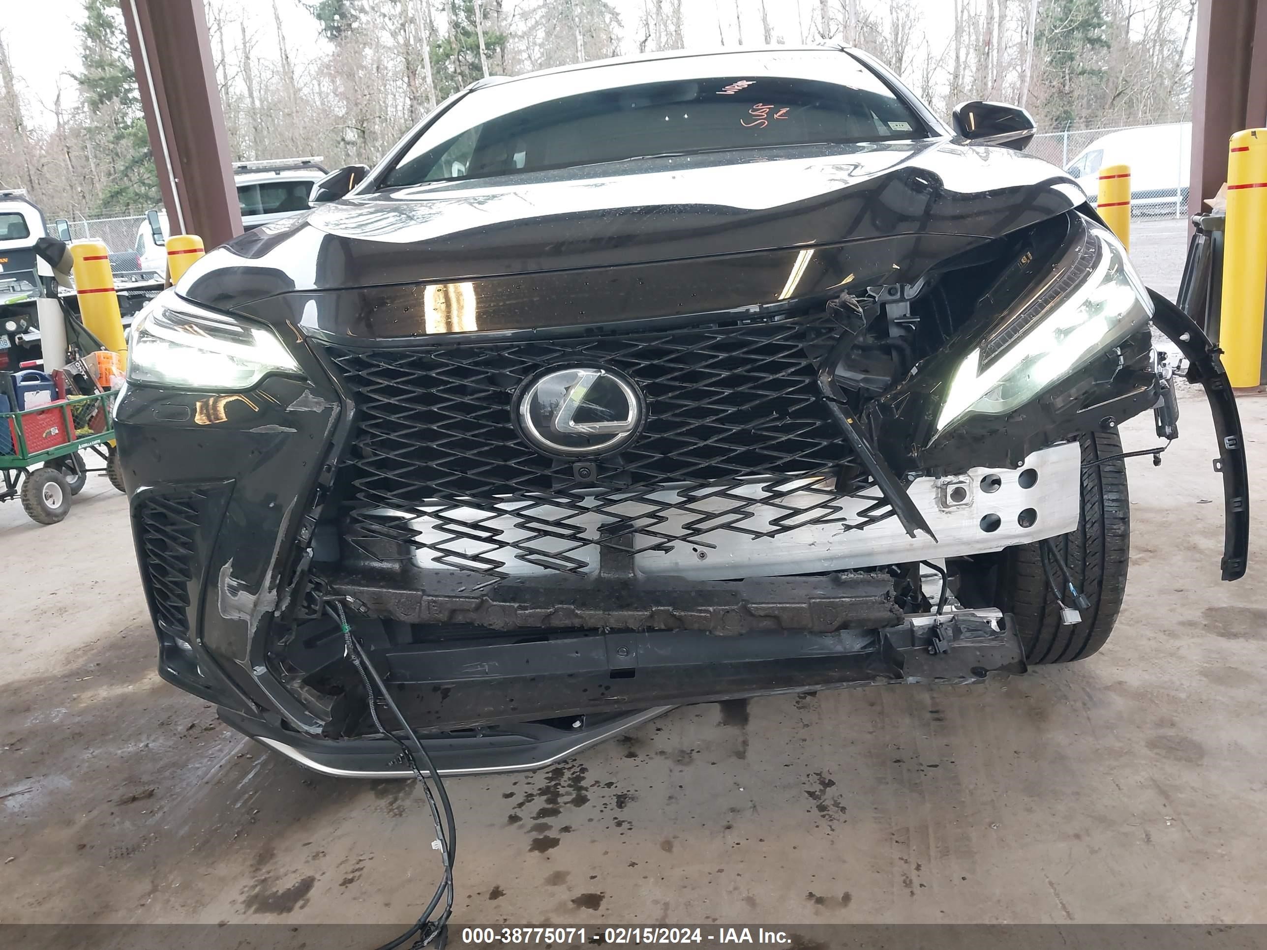 Photo 19 VIN: JTJKGCEZ1R2010550 - LEXUS NX 