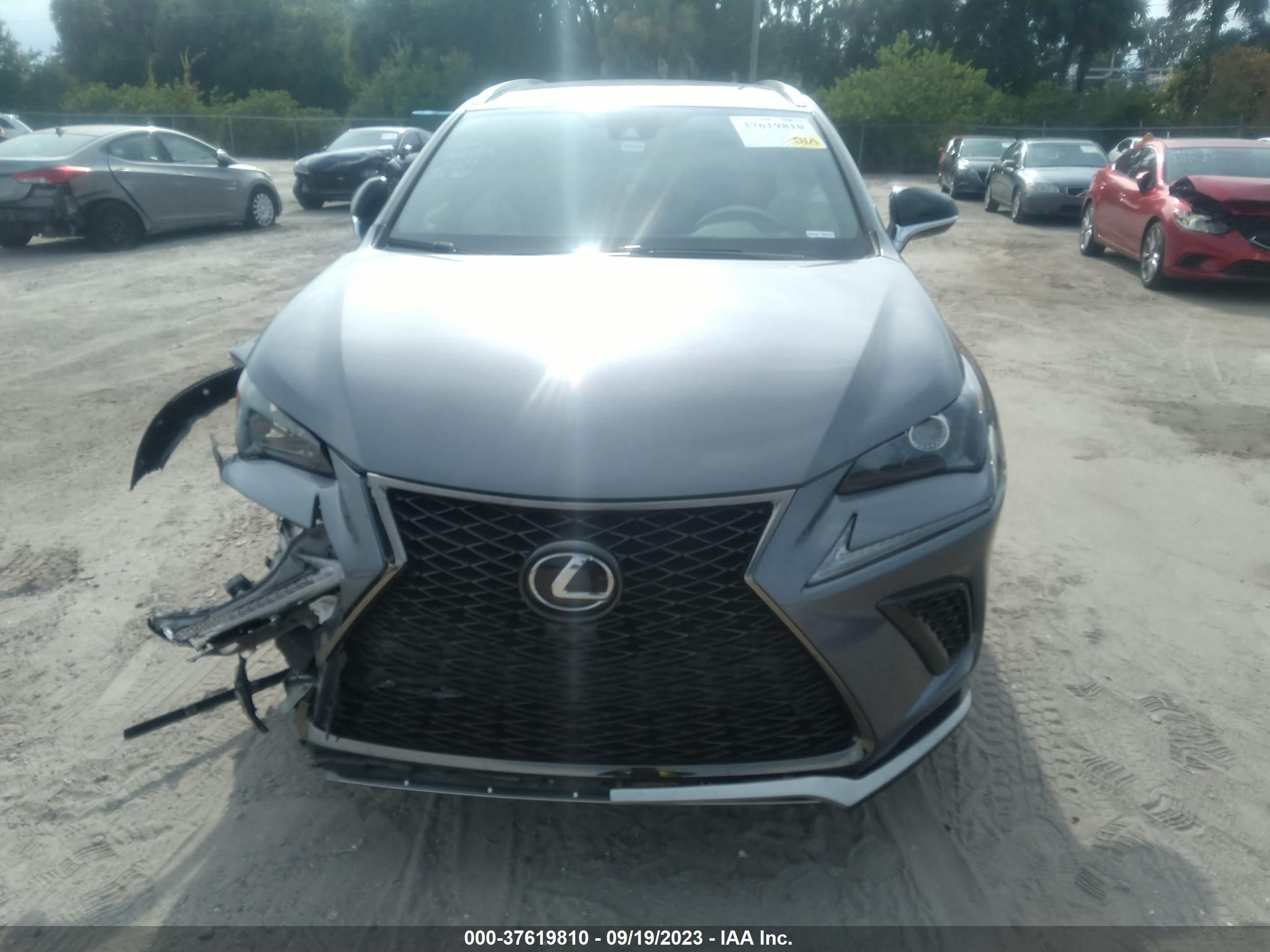 Photo 12 VIN: JTJSARBZ2M2200956 - LEXUS NX 