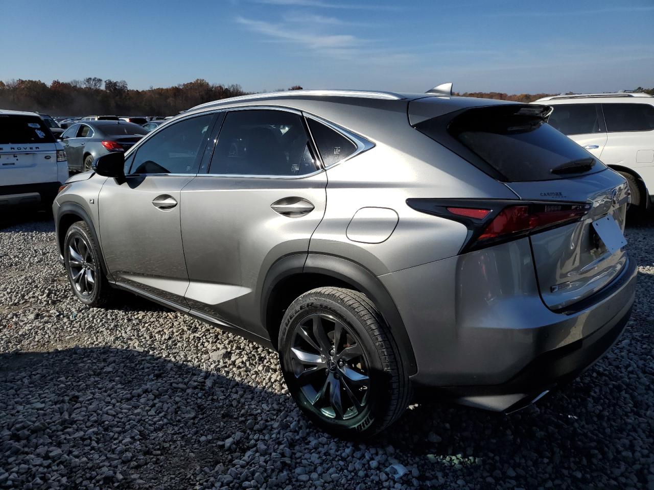 Photo 1 VIN: JTJSARBZXL5011937 - LEXUS NX 