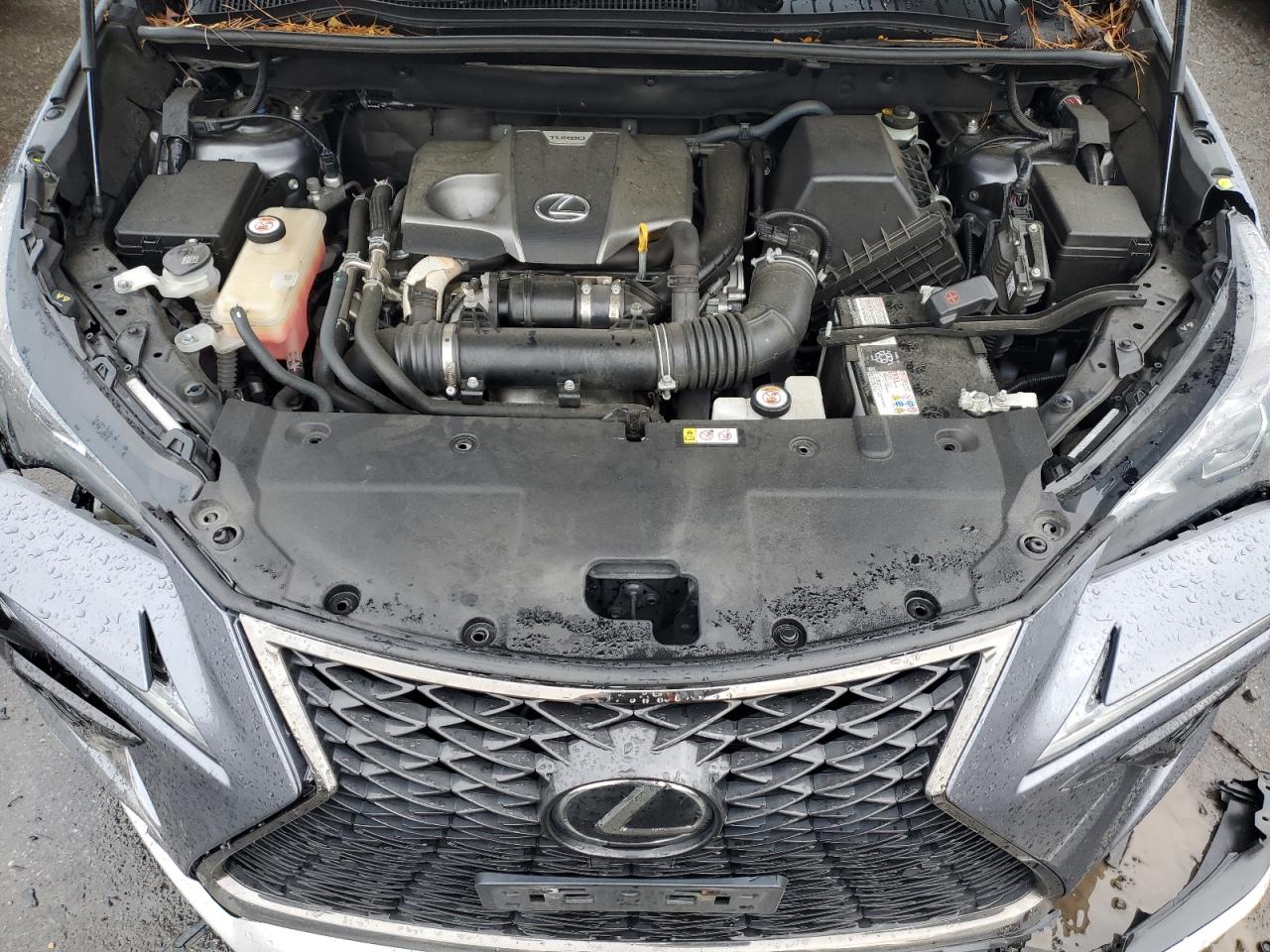 Photo 11 VIN: JTJSARDZ2L5001769 - LEXUS NX 