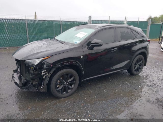 Photo 1 VIN: JTJSARDZ7L2233298 - LEXUS NX 