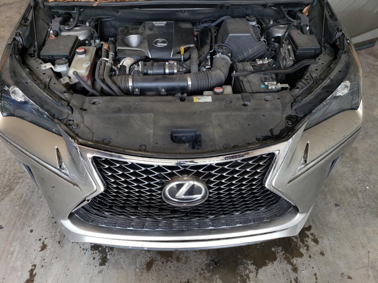 Photo 14 VIN: JTJYARBZ0G2039246 - LEXUS NX 