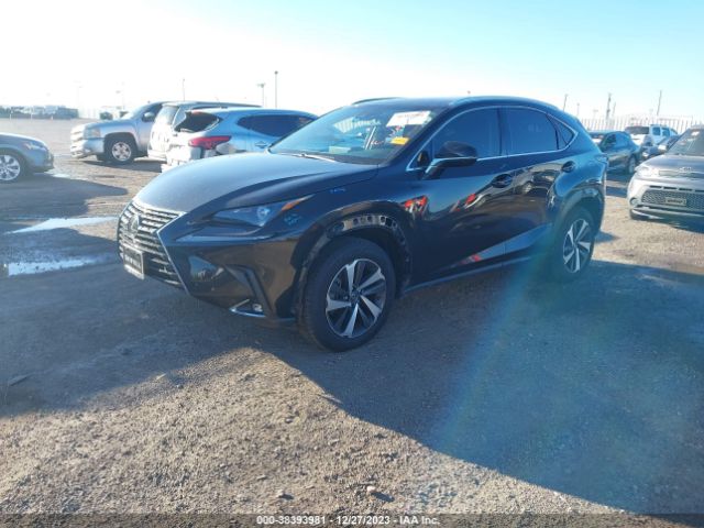 Photo 1 VIN: JTJYARBZ0K2135399 - LEXUS NX 300 