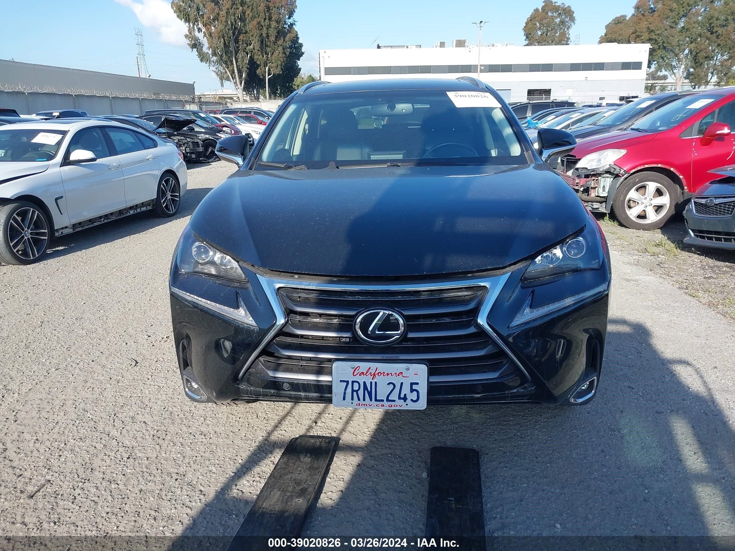 Photo 11 VIN: JTJYARBZ1G2031222 - LEXUS NX 