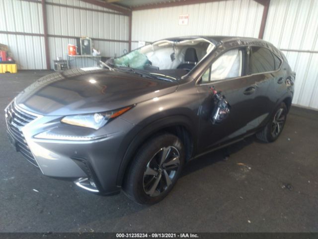 Photo 1 VIN: JTJYARBZ1J2107951 - LEXUS NX 