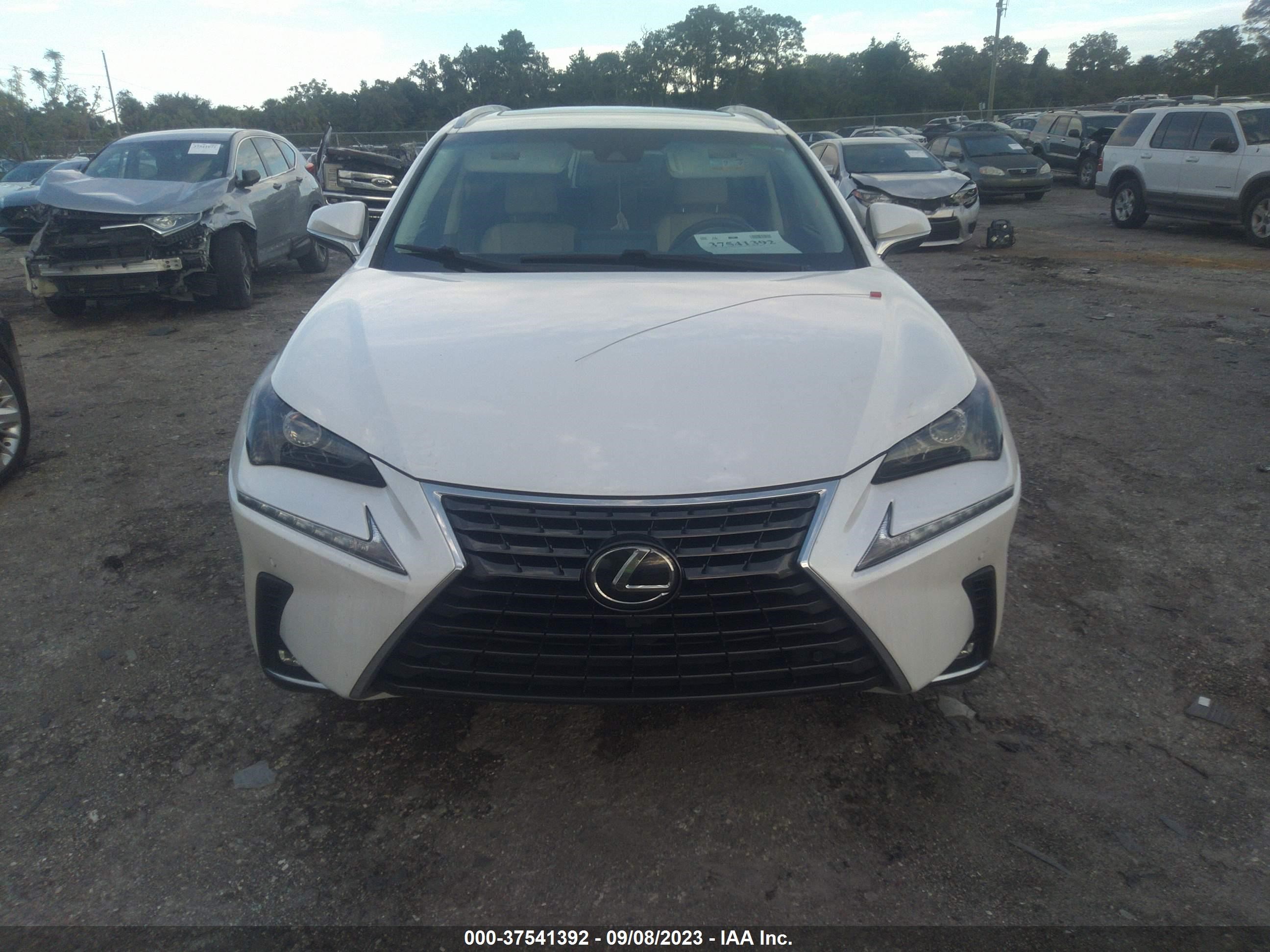 Photo 11 VIN: JTJYARBZ1K2118403 - LEXUS NX 