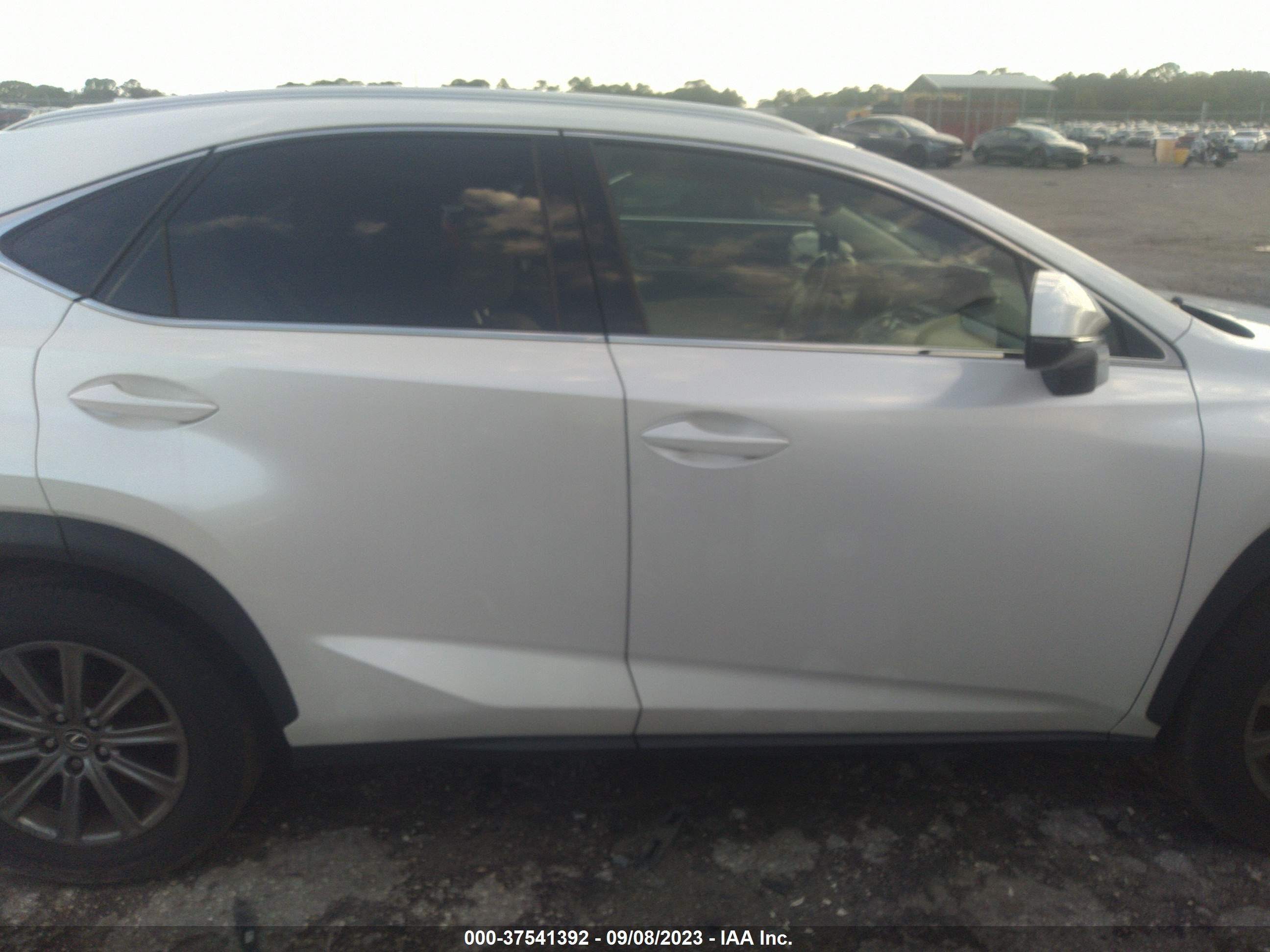 Photo 12 VIN: JTJYARBZ1K2118403 - LEXUS NX 