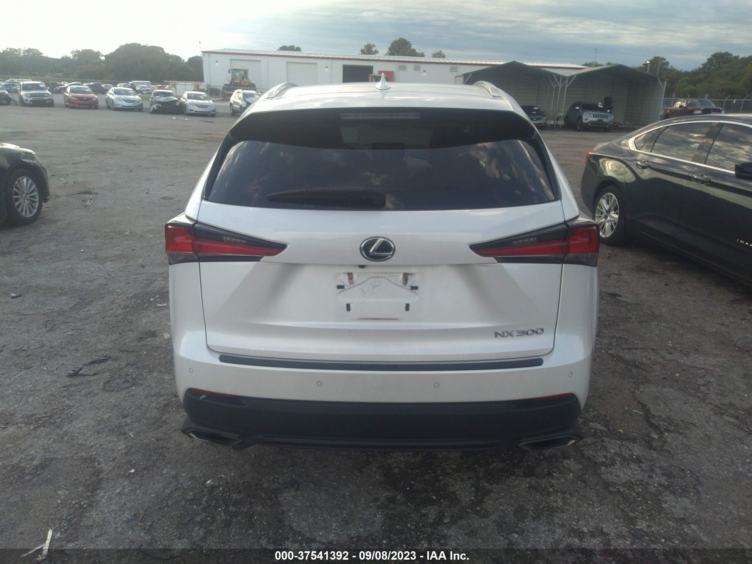 Photo 15 VIN: JTJYARBZ1K2118403 - LEXUS NX 