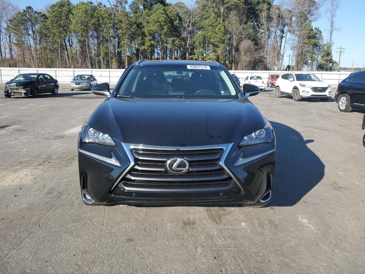 Photo 4 VIN: JTJYARBZ3G2028953 - LEXUS NX 