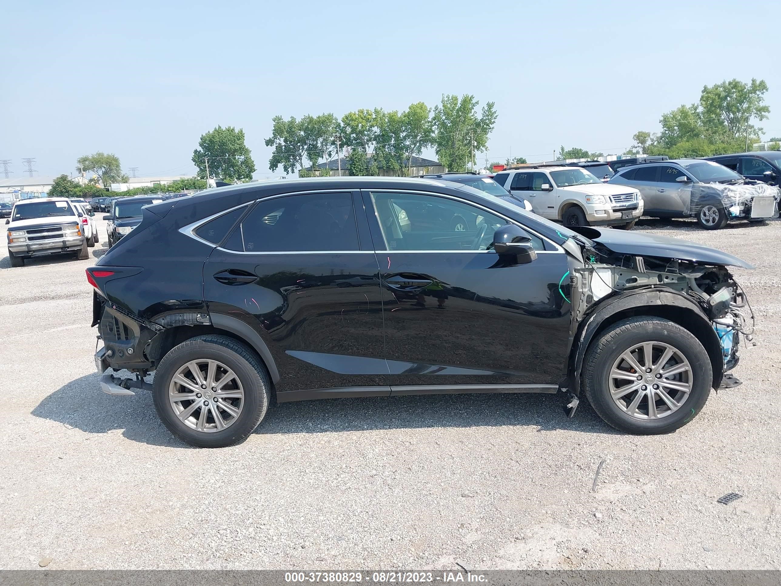 Photo 12 VIN: JTJYARBZ3G2039516 - LEXUS NX 