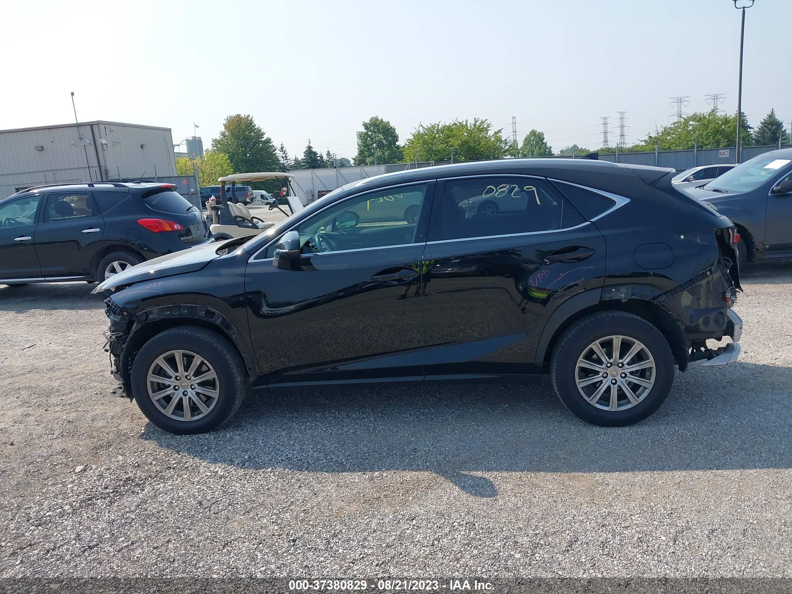 Photo 13 VIN: JTJYARBZ3G2039516 - LEXUS NX 