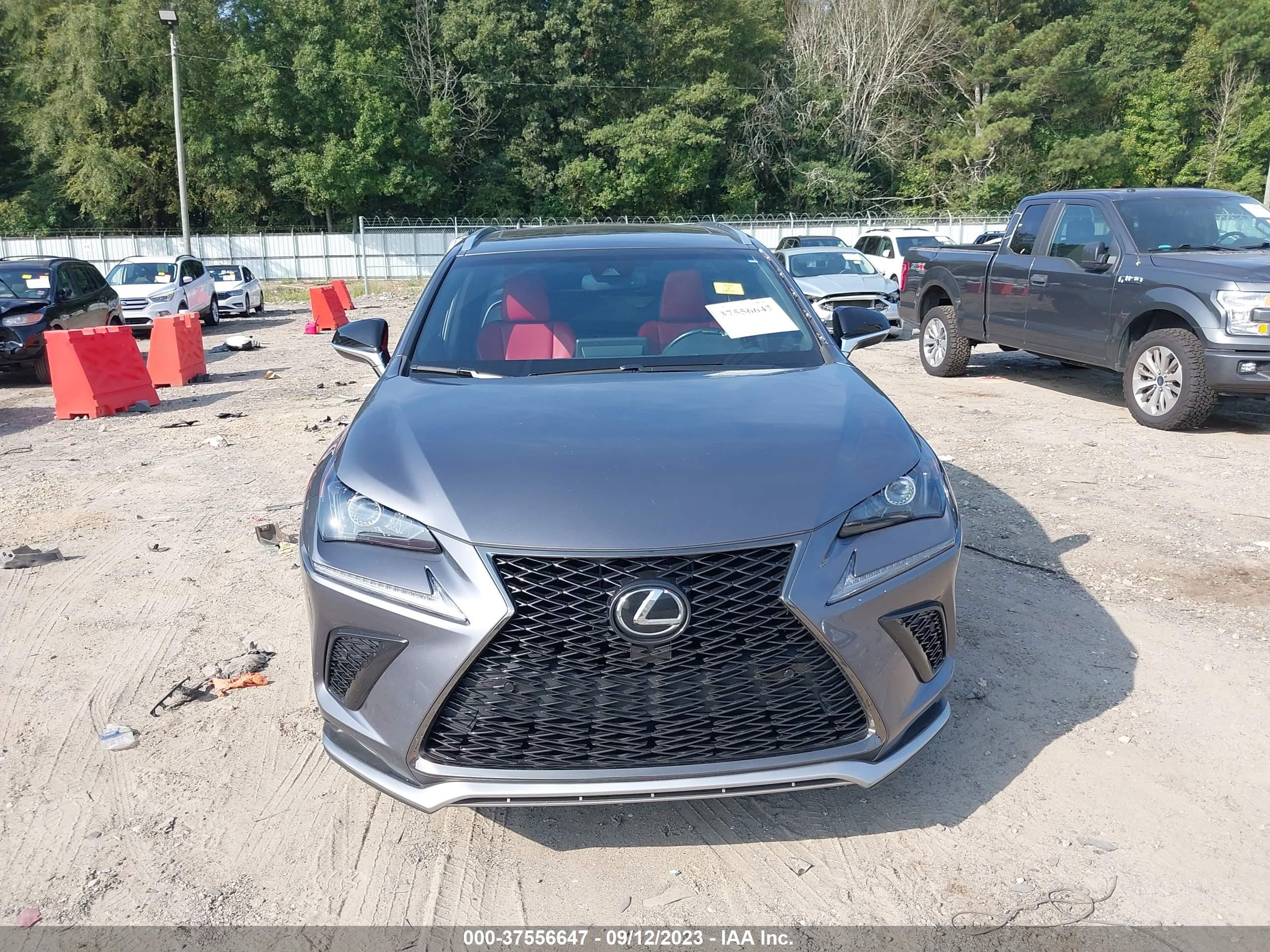 Photo 12 VIN: JTJYARBZ3K2126194 - LEXUS NX 