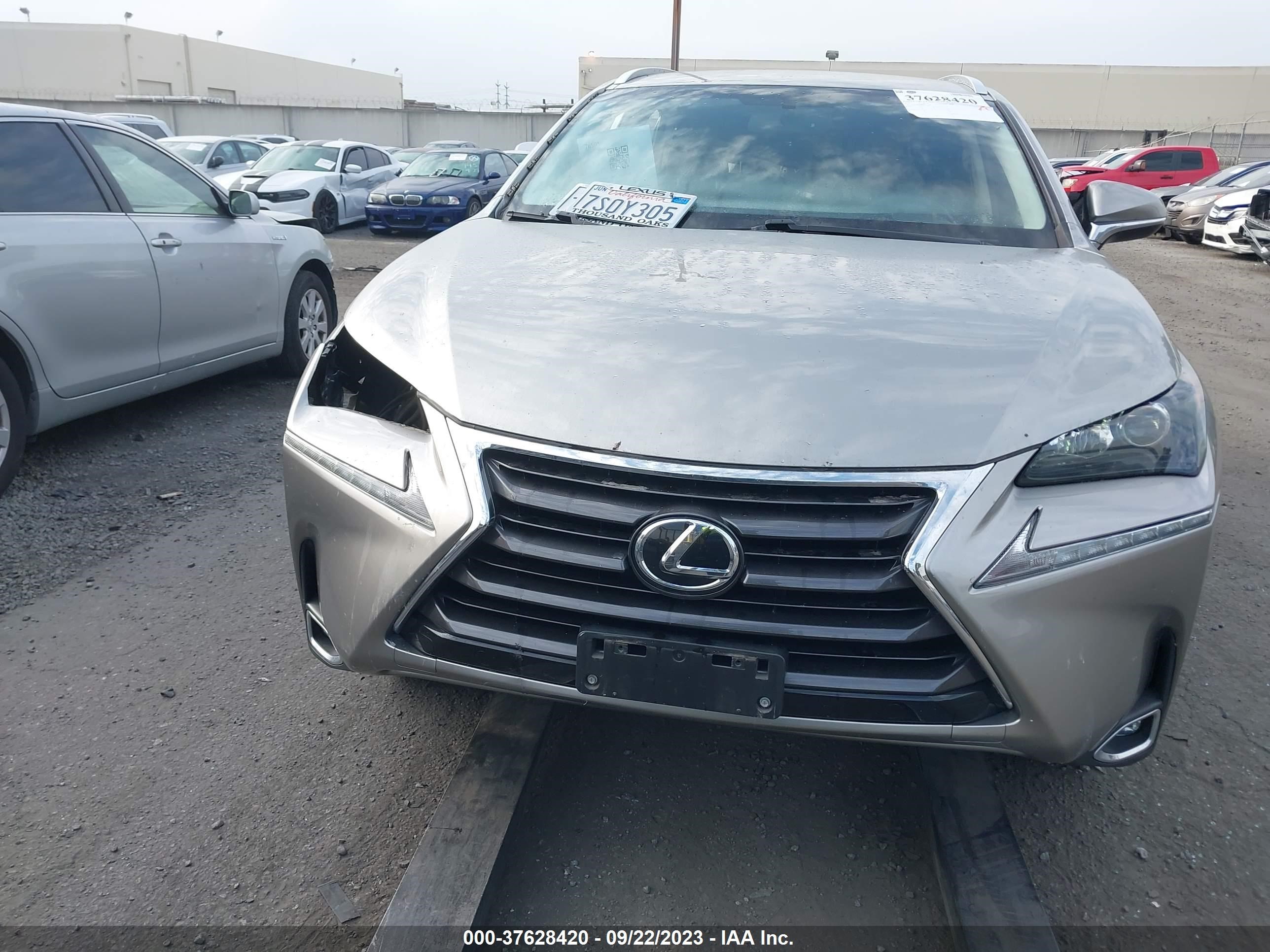 Photo 12 VIN: JTJYARBZ4G2039184 - LEXUS NX 