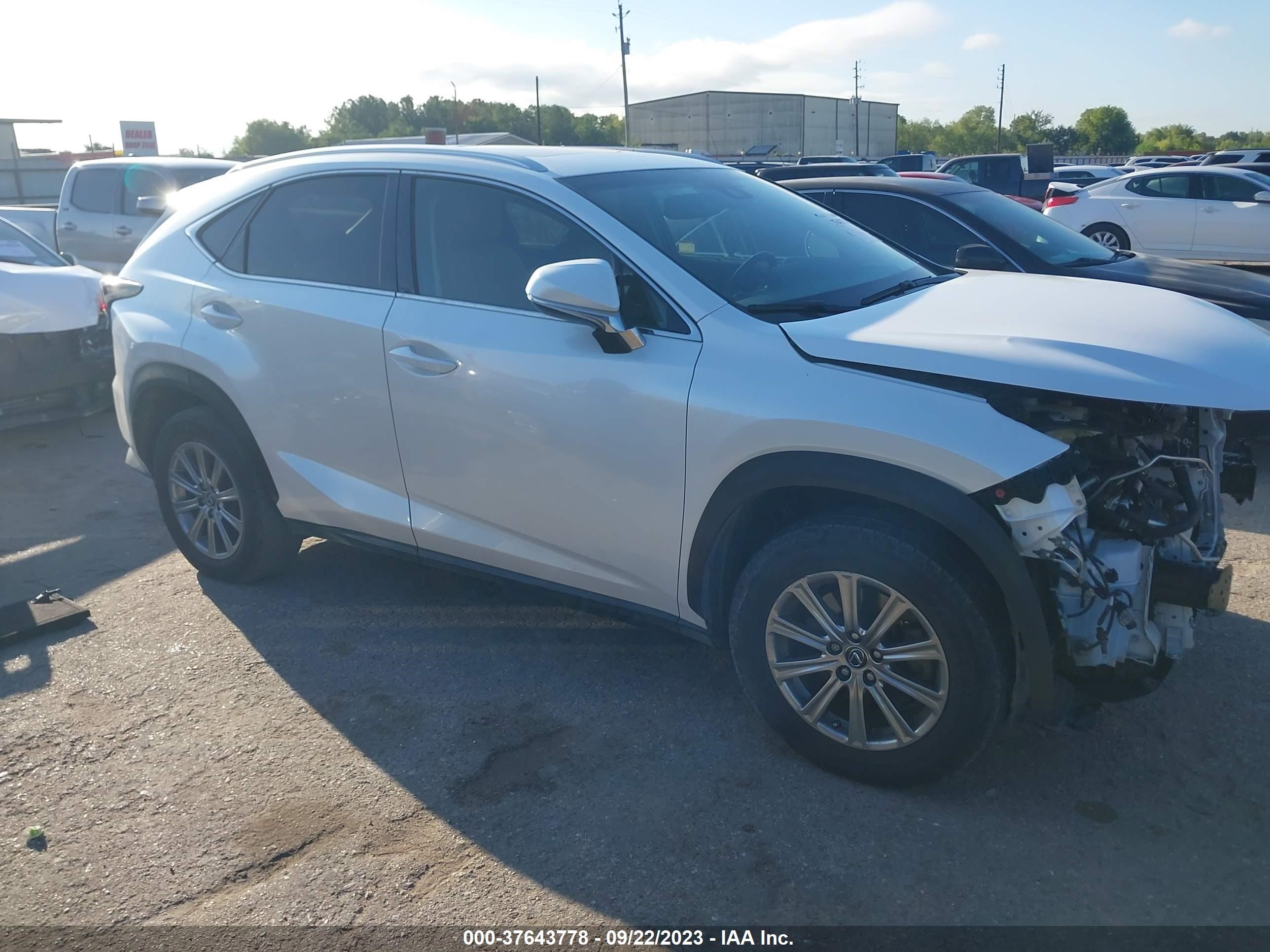 Photo 13 VIN: JTJYARBZ7J2092338 - LEXUS NX 