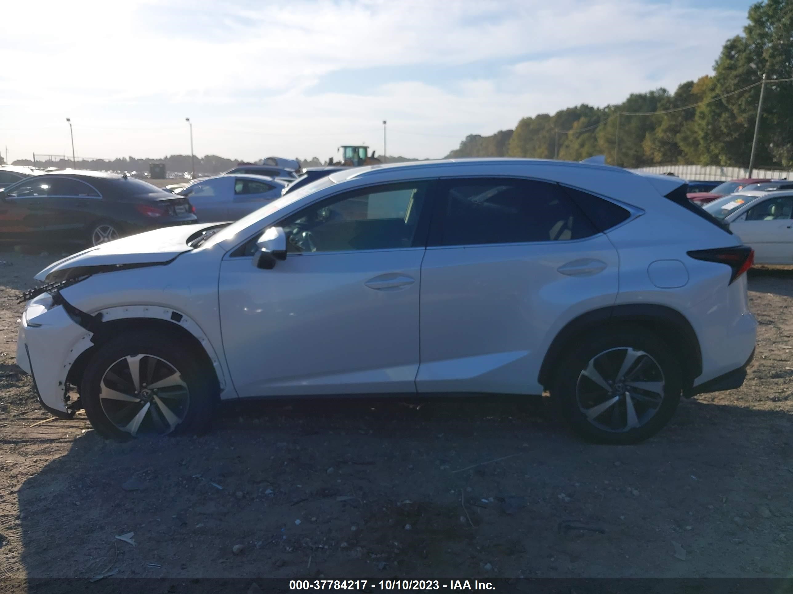 Photo 14 VIN: JTJYARBZ9J2101833 - LEXUS NX 