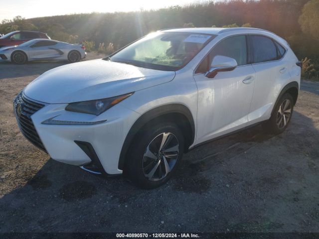 Photo 1 VIN: JTJYARBZ9K2141881 - LEXUS NX 