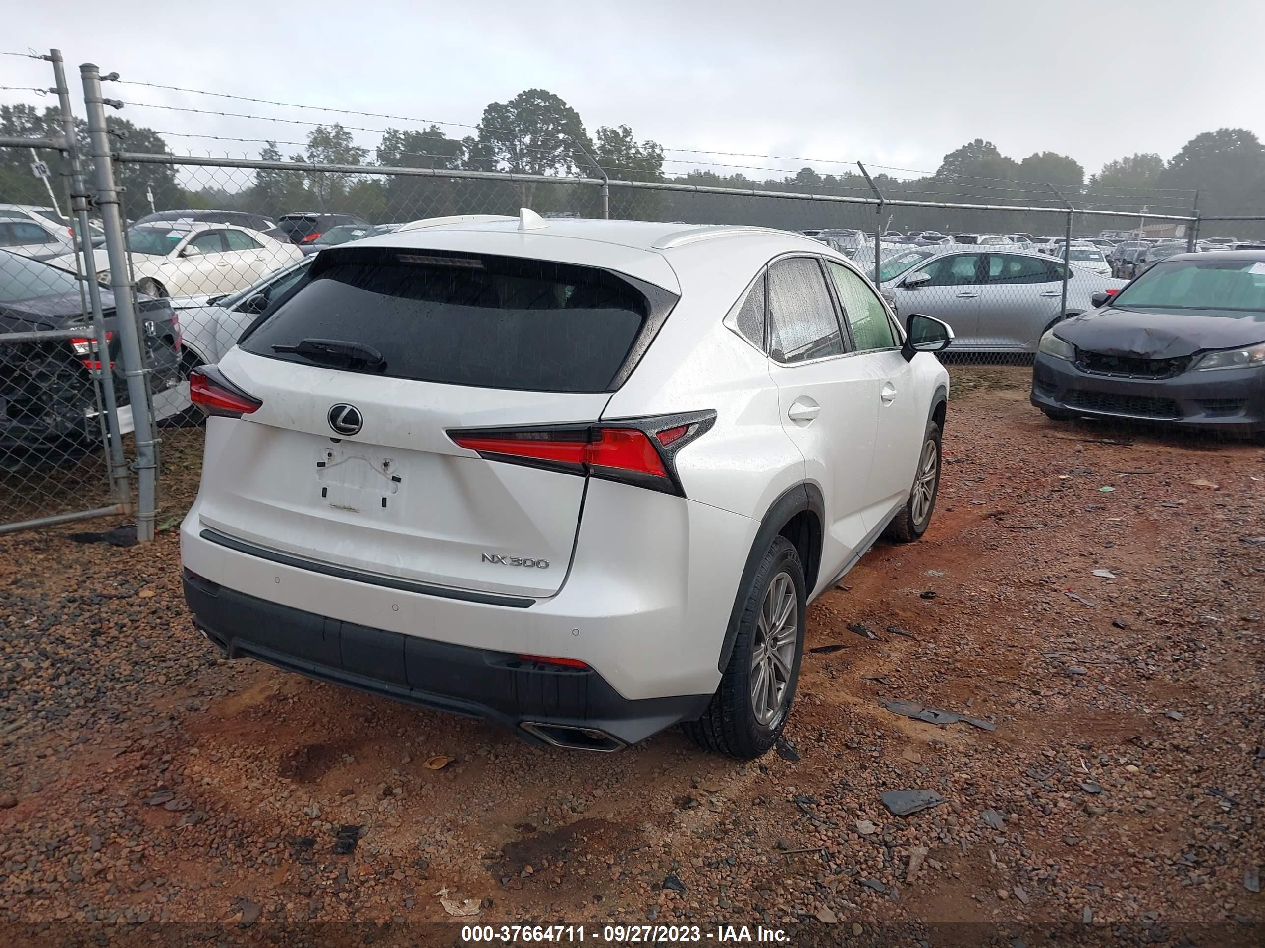 Photo 3 VIN: JTJYARBZXK2130565 - LEXUS NX 