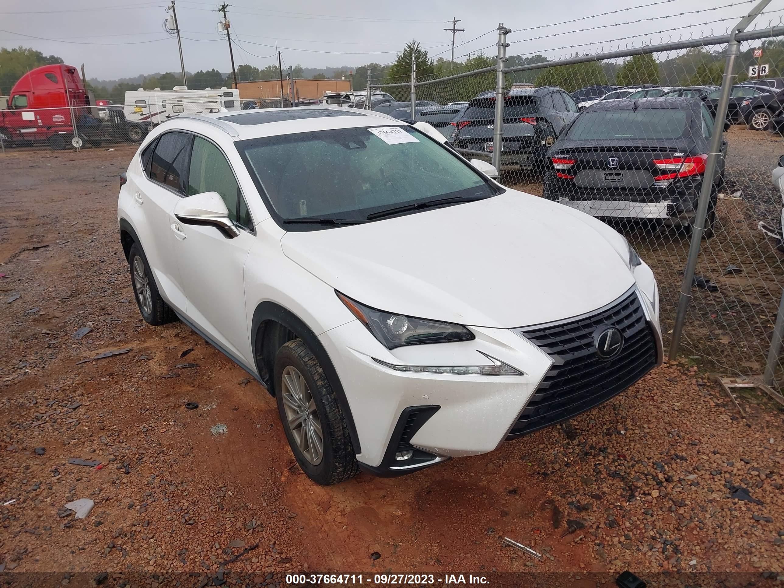 Photo 0 VIN: JTJYARBZXK2130565 - LEXUS NX 