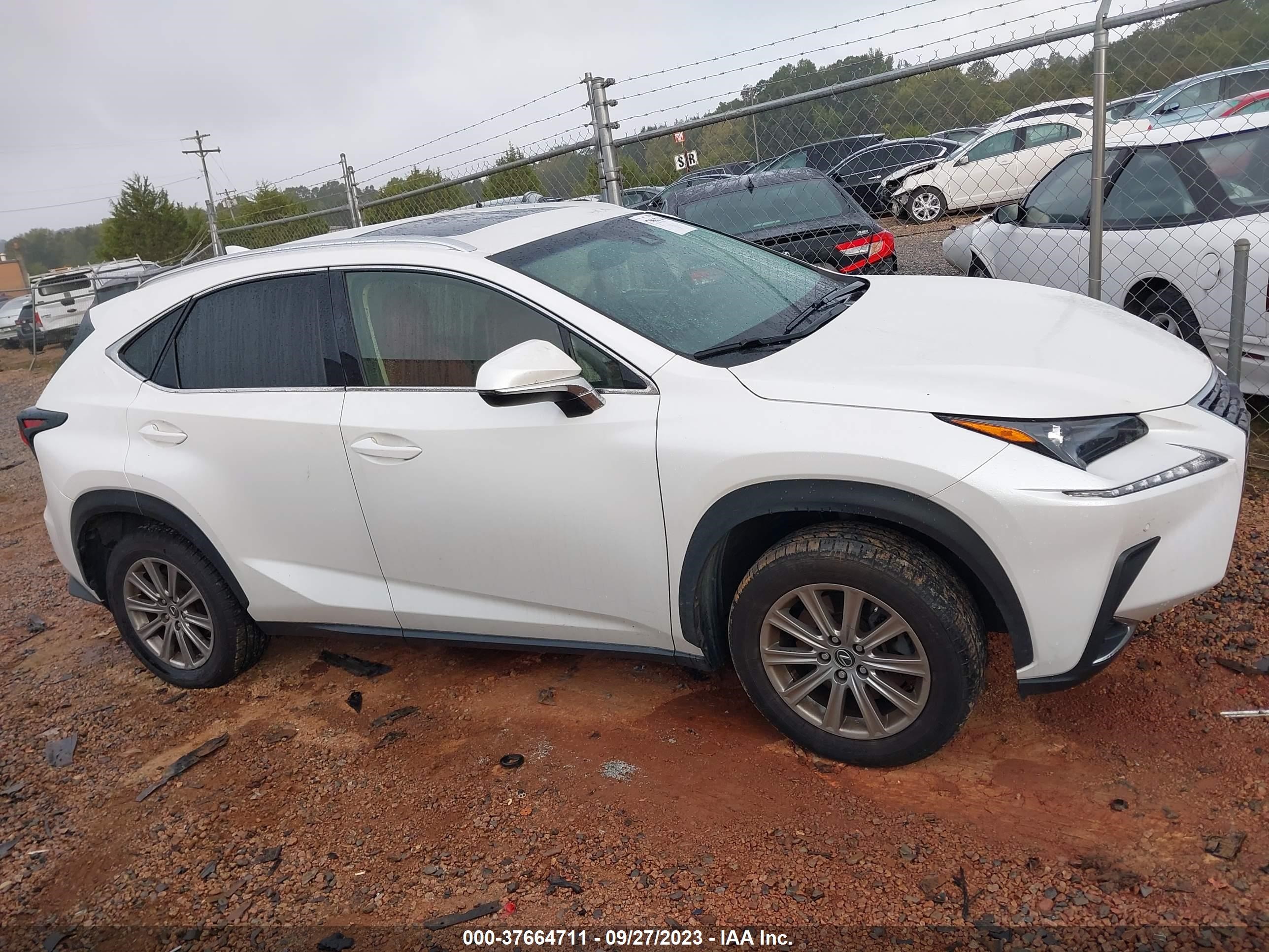 Photo 11 VIN: JTJYARBZXK2130565 - LEXUS NX 