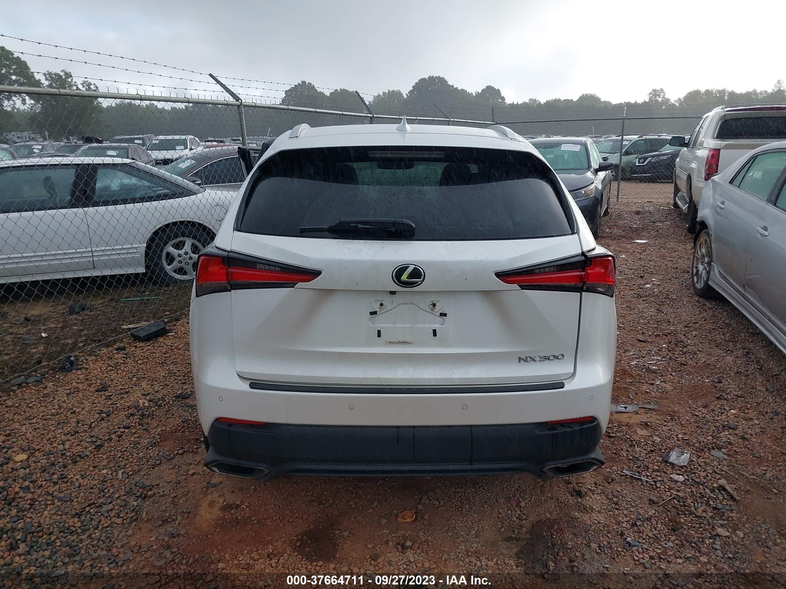 Photo 14 VIN: JTJYARBZXK2130565 - LEXUS NX 