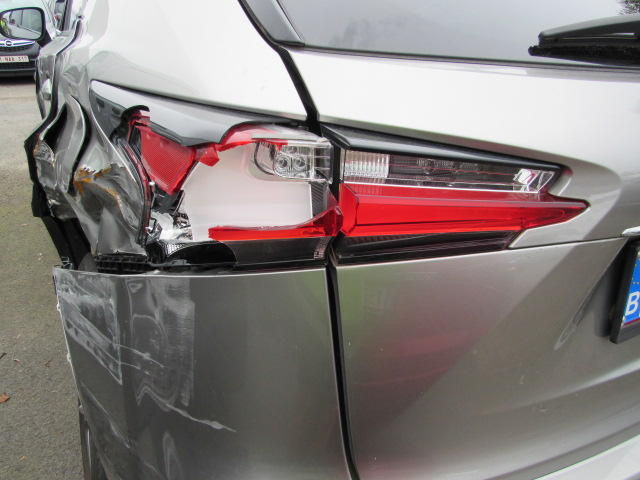 Photo 21 VIN: JTJYWRBZ102013469 - LEXUS NX 