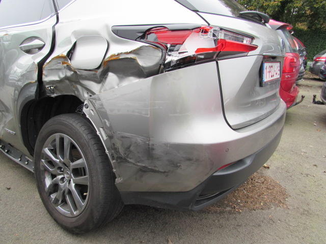 Photo 23 VIN: JTJYWRBZ102013469 - LEXUS NX 