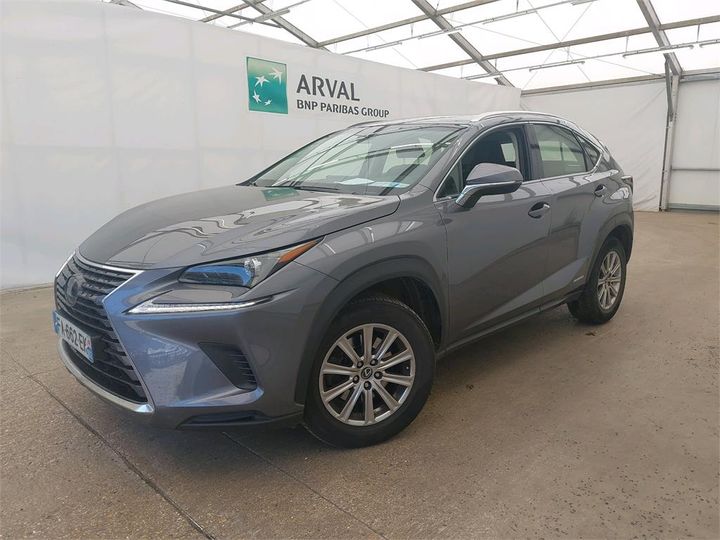 Photo 1 VIN: JTJYWRBZX02028049 - LEXUS NX 