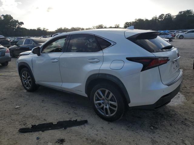 Photo 1 VIN: JTJYWRBZXF2002107 - LEXUS NX 300H 