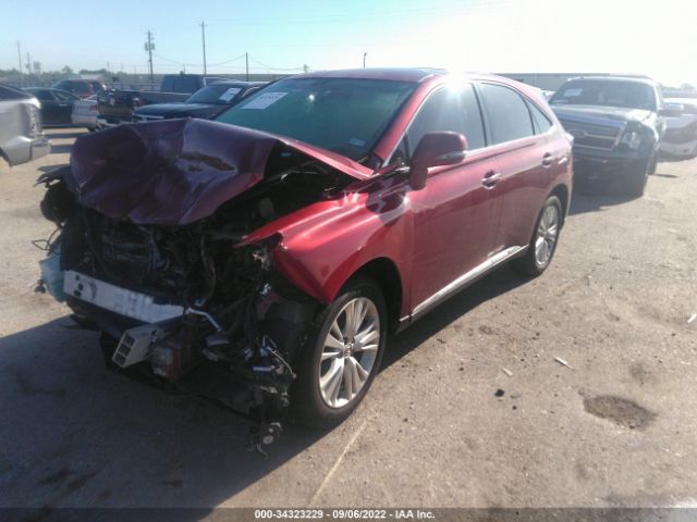 Photo 1 VIN: JTJZB1BA0A2002914 - LEXUS RX 450H 