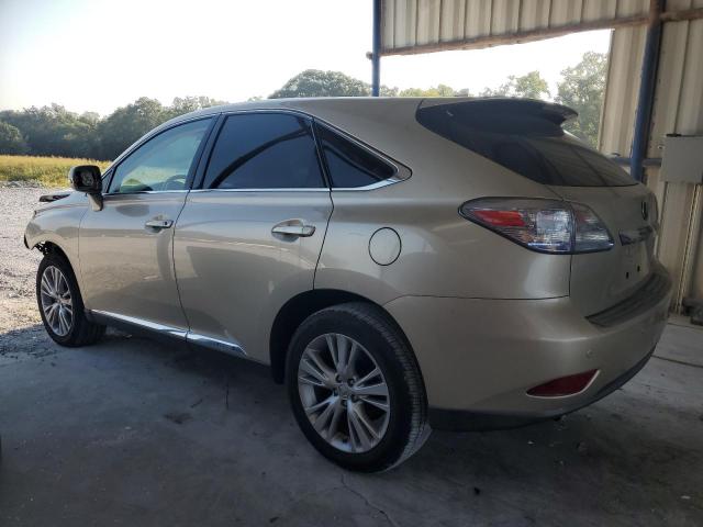 Photo 1 VIN: JTJZB1BA0B2405146 - LEXUS RX 450H 