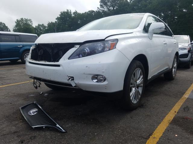 Photo 1 VIN: JTJZB1BA0B2405244 - LEXUS RX 450 