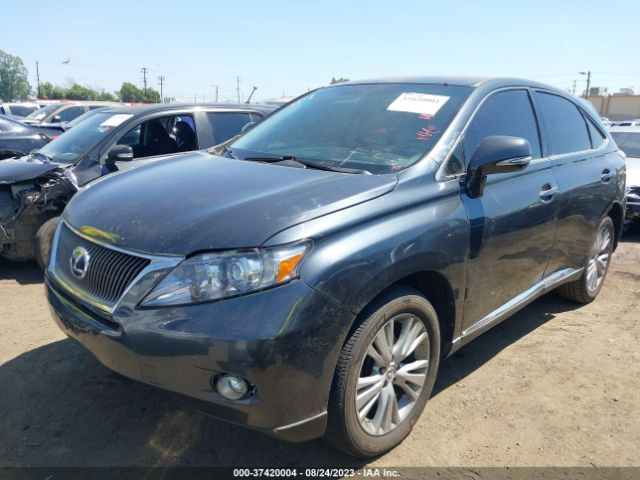 Photo 1 VIN: JTJZB1BA1A2001626 - LEXUS RX 450H 