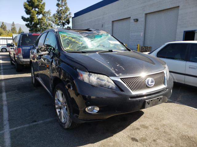 Photo 0 VIN: JTJZB1BA1C2407425 - LEXUS RX 450 