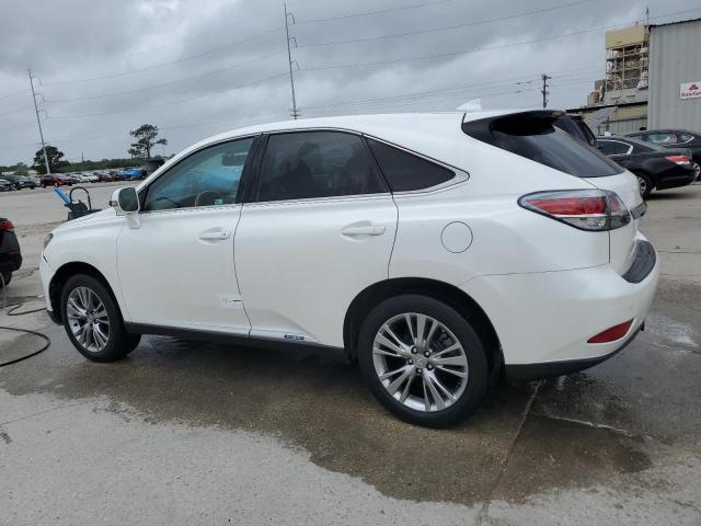 Photo 1 VIN: JTJZB1BA2E2009563 - LEXUS RX450 