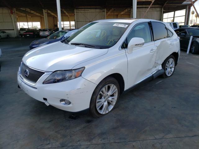 Photo 1 VIN: JTJZB1BA3B2404606 - LEXUS RX 450 