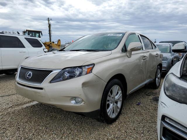 Photo 1 VIN: JTJZB1BA3B2405416 - LEXUS RX 450 