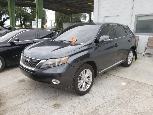 Photo 1 VIN: JTJZB1BA4A2004309 - LEXUS RX 450 