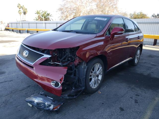 Photo 1 VIN: JTJZB1BA5B2005342 - LEXUS RX 450 