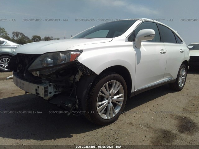 Photo 1 VIN: JTJZB1BA5B2404509 - LEXUS RX 450H 