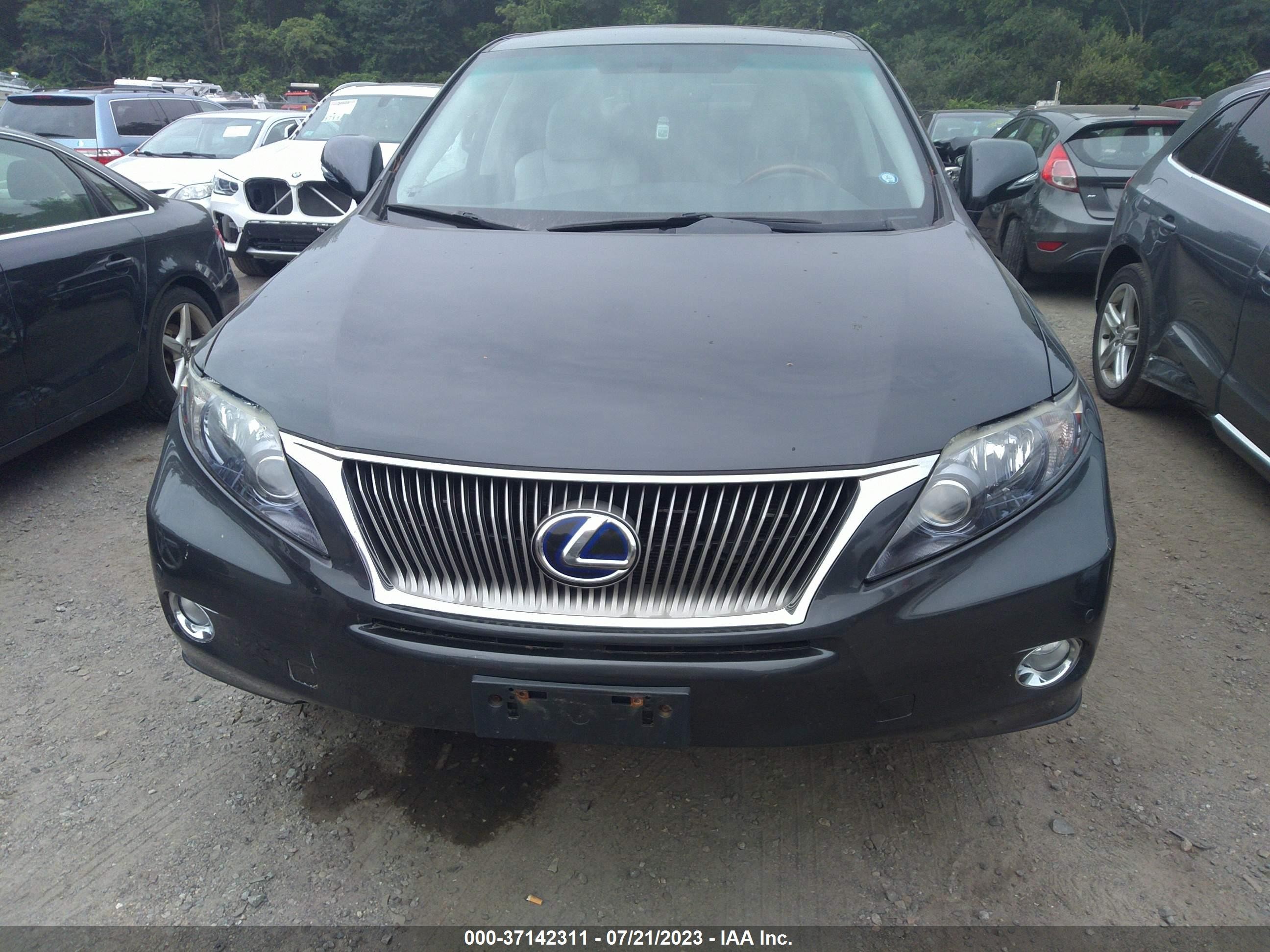 Photo 11 VIN: JTJZB1BA6A2001878 - LEXUS RX 