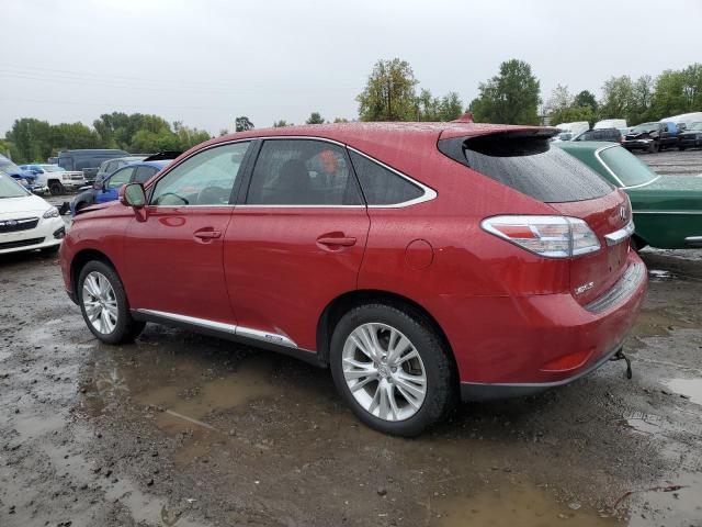 Photo 1 VIN: JTJZB1BA7A2001632 - LEXUS RX 450 