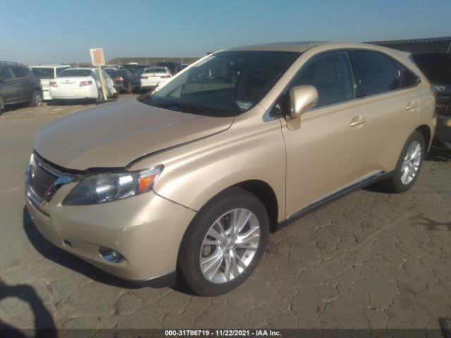 Photo 1 VIN: JTJZB1BA7A2400251 - LEXUS RX 450H 