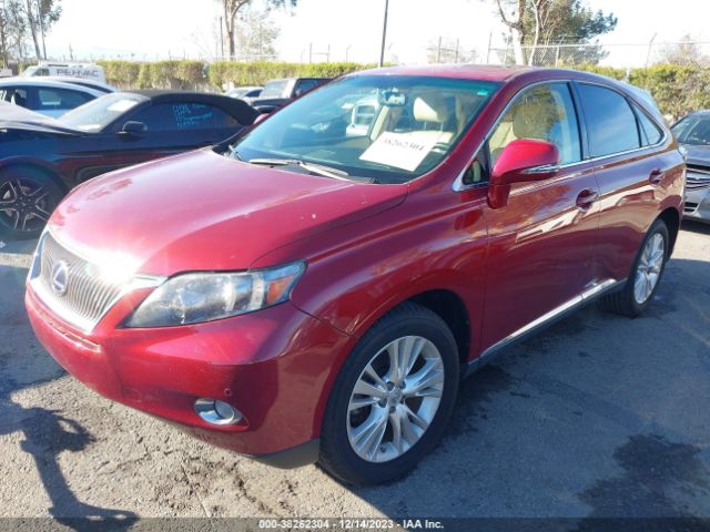 Photo 1 VIN: JTJZB1BA9B2404822 - LEXUS RX 450H 