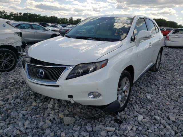 Photo 1 VIN: JTJZB1BA9C2407494 - LEXUS RX 450 