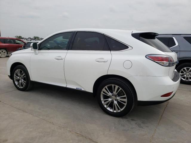 Photo 1 VIN: JTJZB1BA9D2008019 - LEXUS RX 450H 