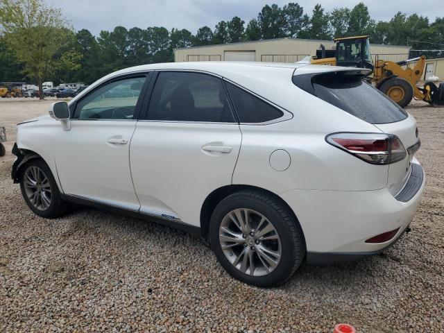 Photo 1 VIN: JTJZB1BA9D2008506 - LEXUS RX 450H 